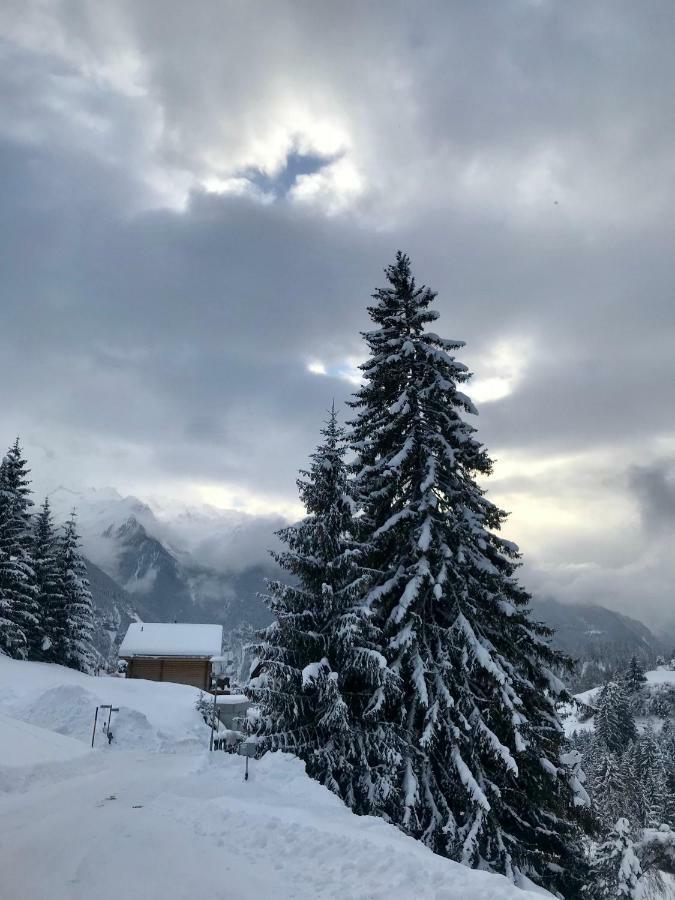 Tgesa Ferrera Villa Schmitten  Bagian luar foto